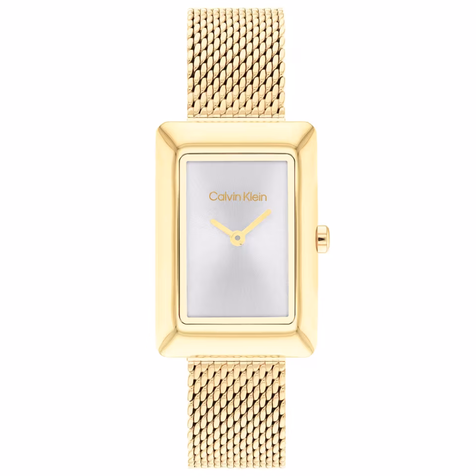 Calvin Klein CK25200396 Kadın Kol Saati