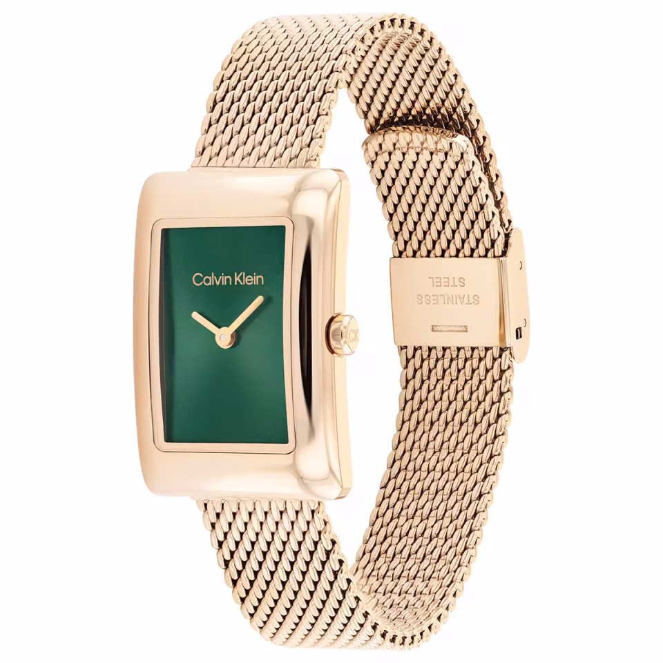 Calvin Klein CK25200395 Kadın Kol Saati