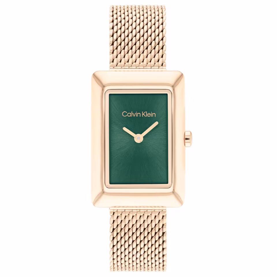 Calvin Klein CK25200395 Kadın Kol Saati