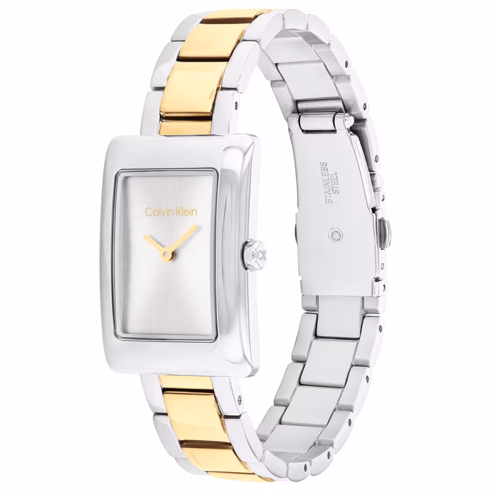 Calvin Klein CK25200420 Kadın Kol Saati