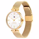 Tommy Hilfiger TH1782805 Kadın Kol Saati