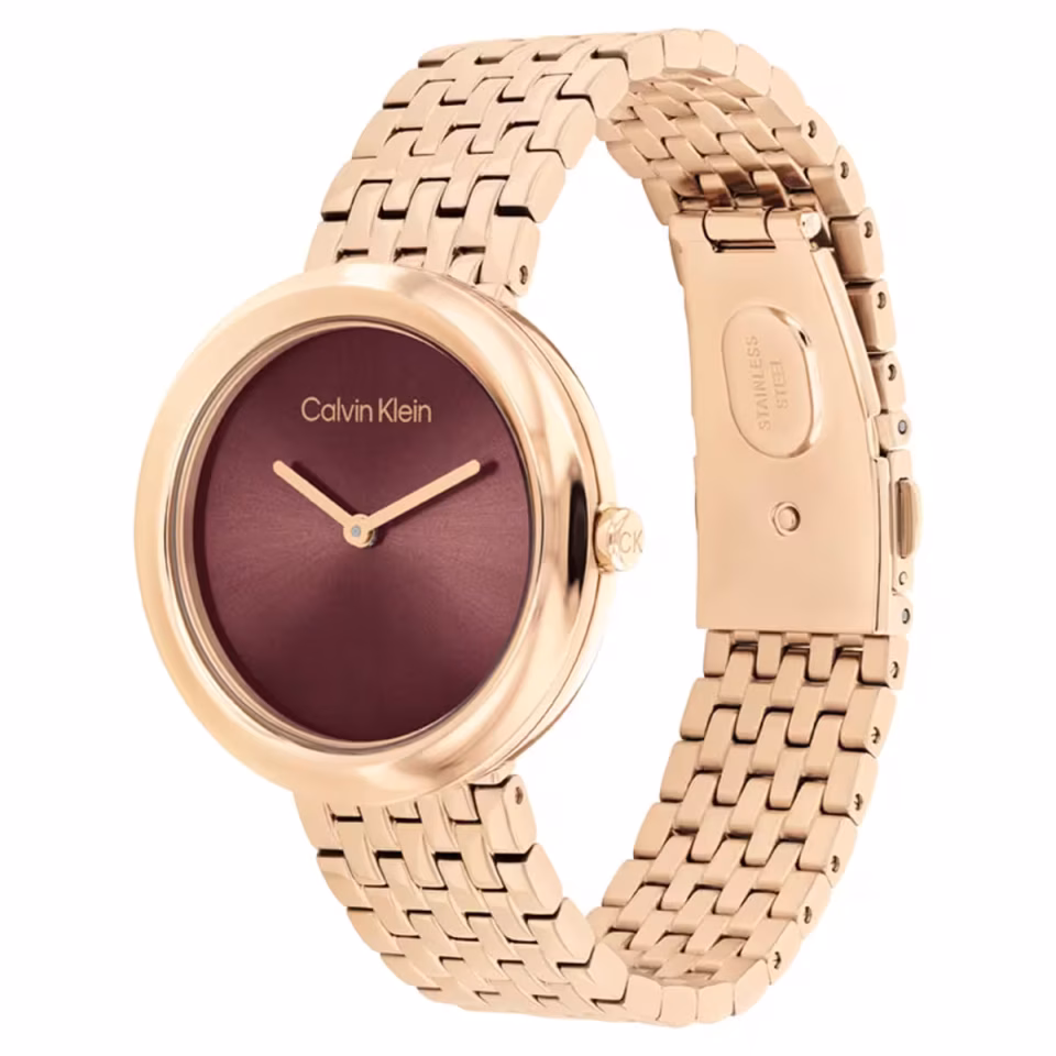 Calvin Klein CK25100067 Kadın Kol Saati