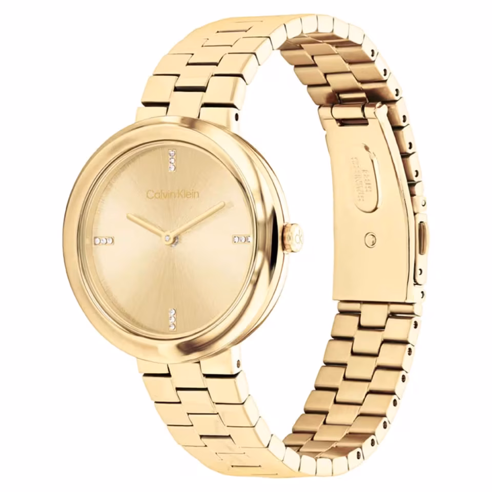 Calvin Klein CK25100094 Kadın Kol Saati