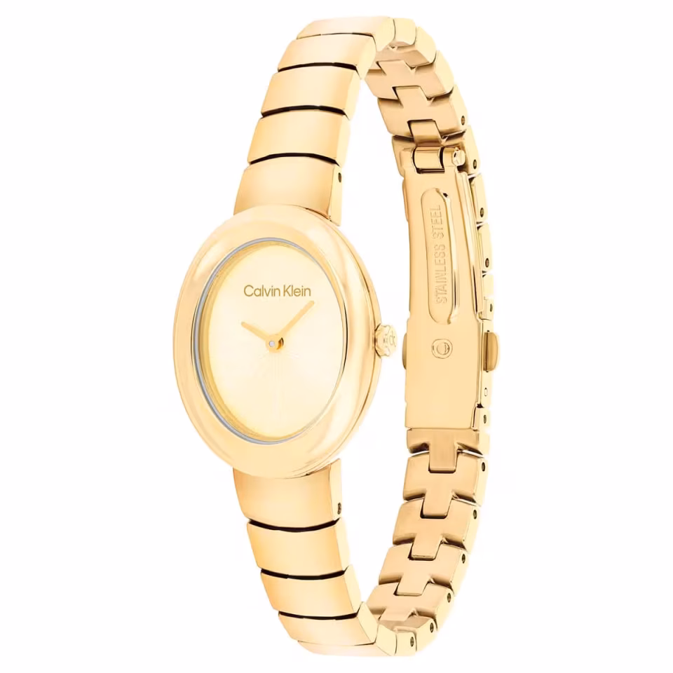 Calvin Klein CK25100147 Kadın Kol Saati