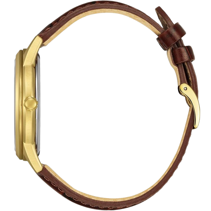 Citizen Eco-Drive AW1782-11A Erkek Kol Saati