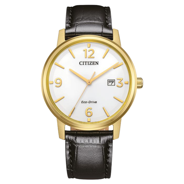 Citizen Eco-Drive BM6756-01A Erkek Kol Saati