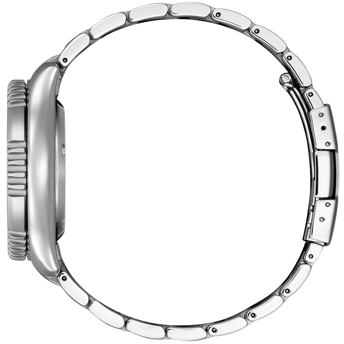 Citizen Automatic Marine Limited Edition NY0161-63LE Erkek Kol Saati