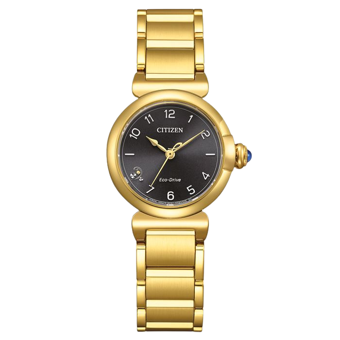 Citizen Eco-Drive EM1132-88H Kadın Kol Saati