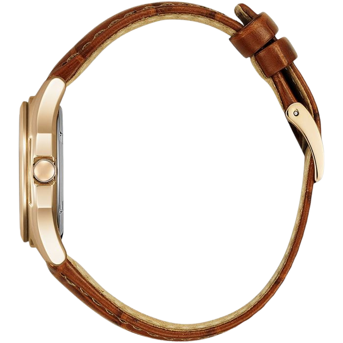 Citizen Eco-Drive FE2113-16X Kadın Kol Saati