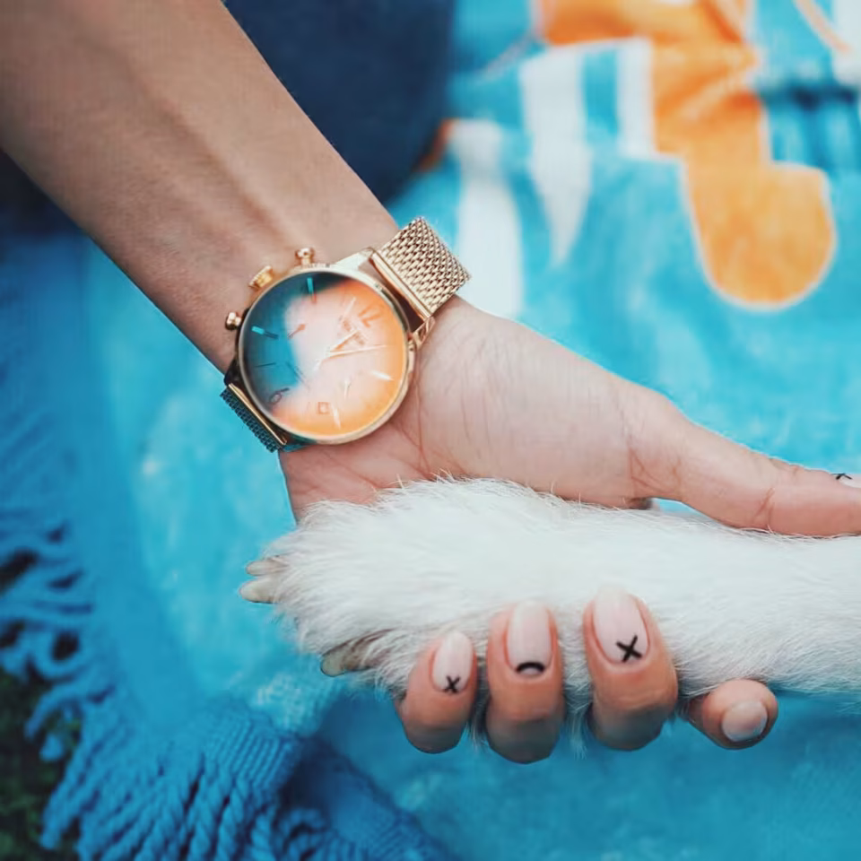 Welder WWRC604 38 mm Kadın Kol Saati