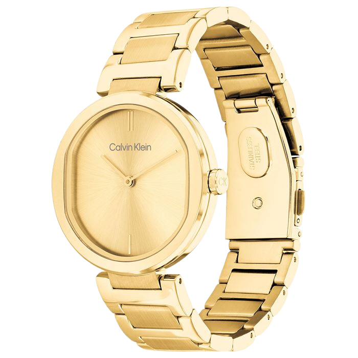Calvin Klein CK25200252 Kadın Kol Saati