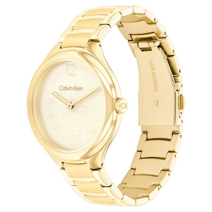 Calvin Klein CK25100048 Kadın Kol Saati